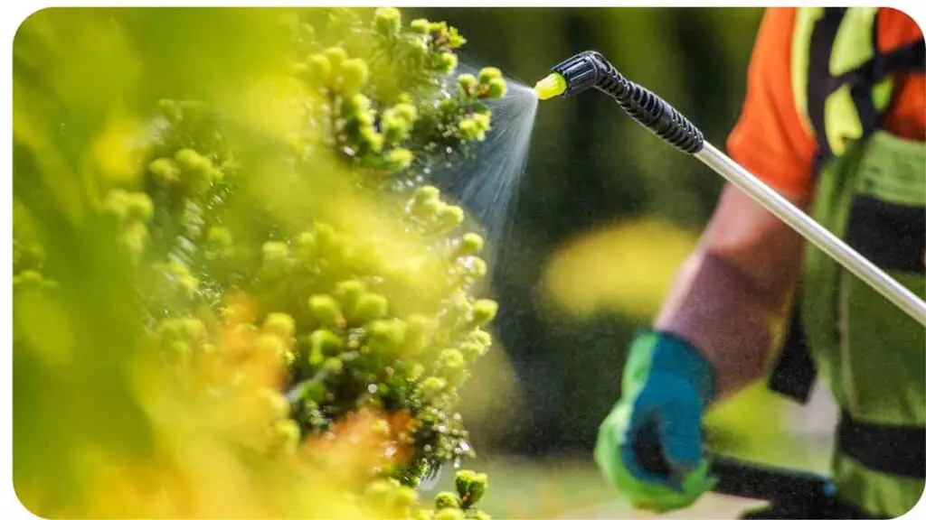 a person is spraying plants with a sprayer