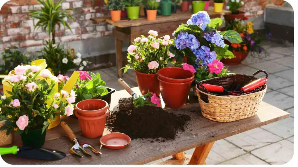 a table with potted flowers and gardening tools