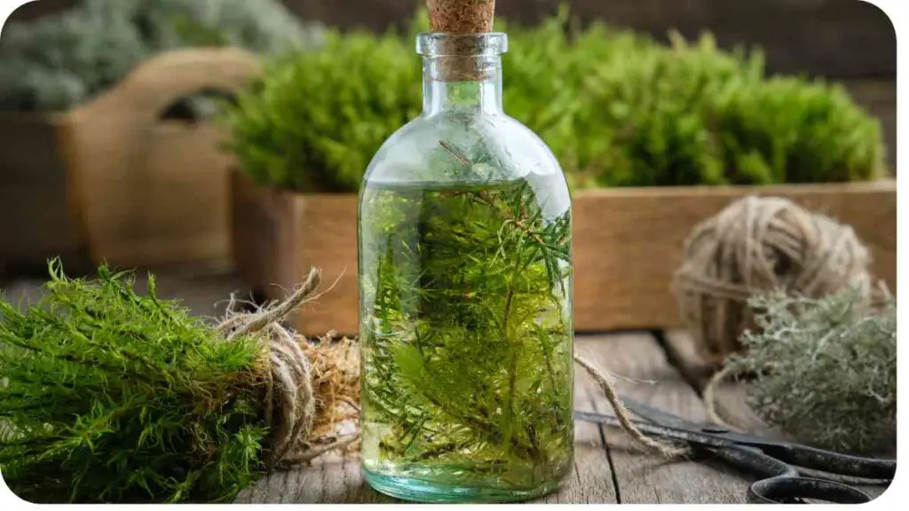 a bottle filled with herbs on a wooden table