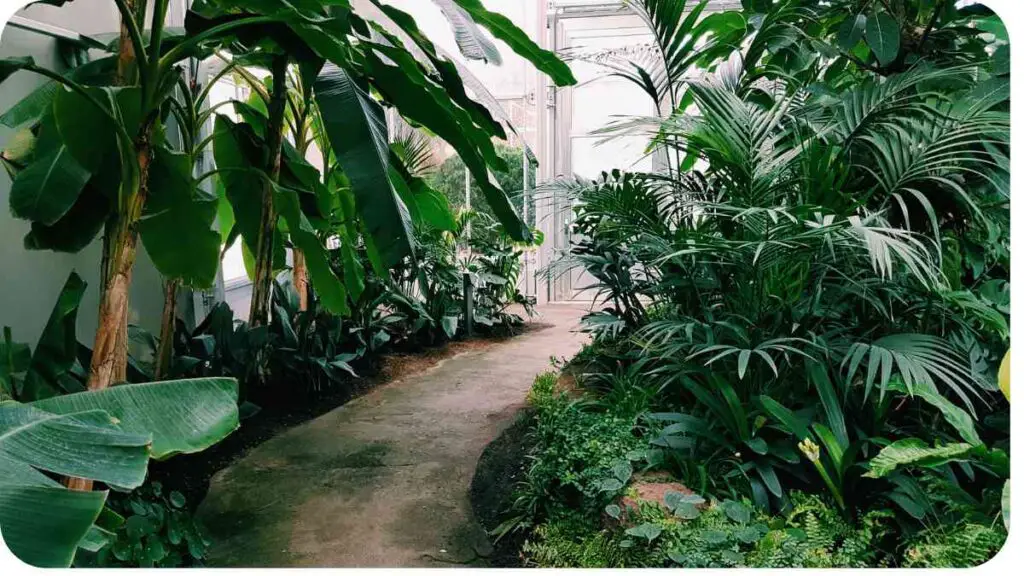 a walkway through a tropical garden with lots of plants