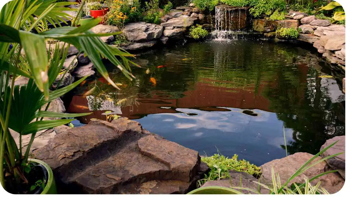 Troubleshooting Common Pond Water Quality Problems