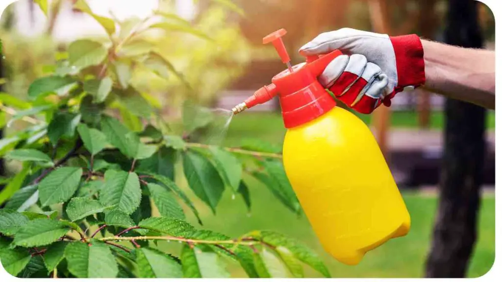 a person is spraying a plant with a yellow sprayer