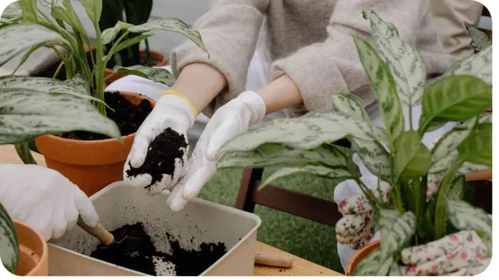 two people in white gloves are planting potted plants
