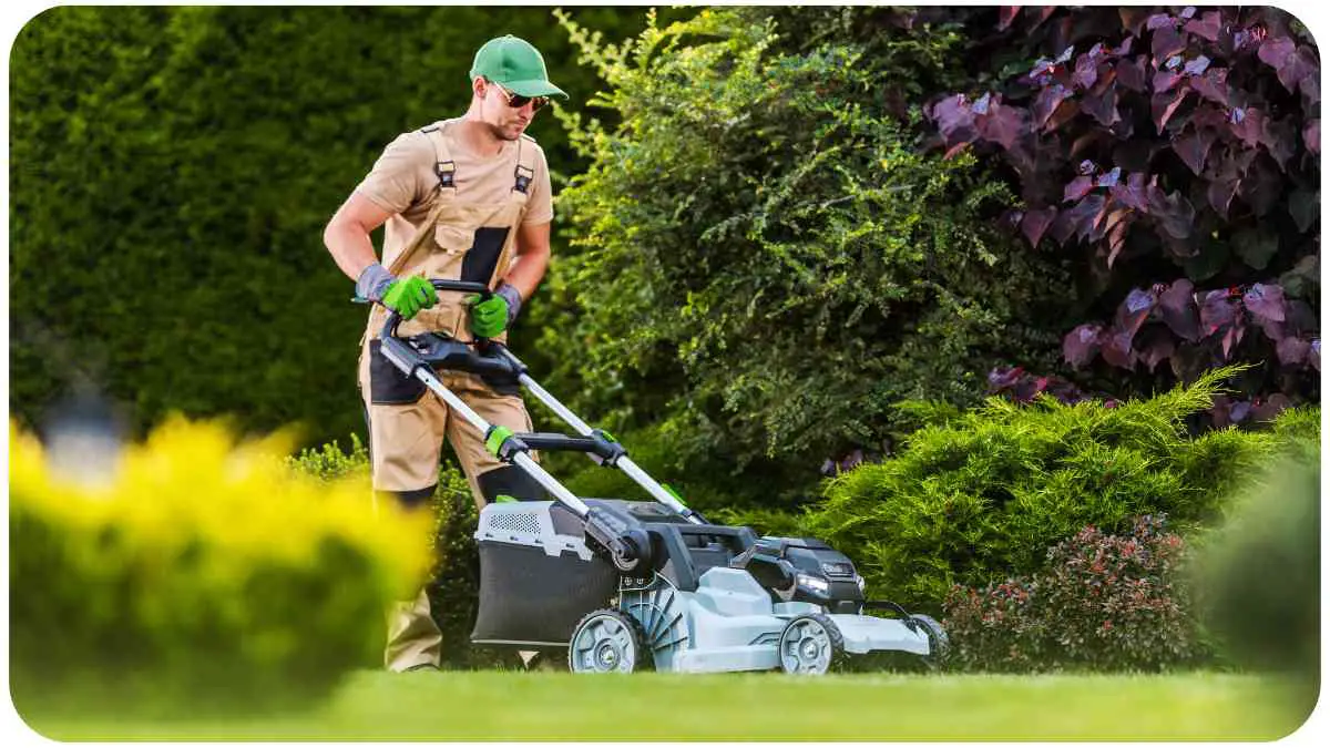 How To Set Up A Push Lawn Mower