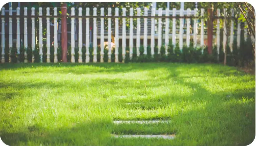 a grassy yard with a white picket fence in the background