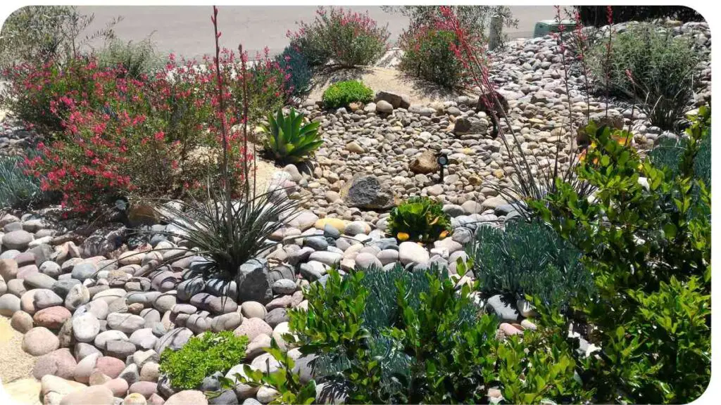 a landscaping design with rocks, plants and shrubs