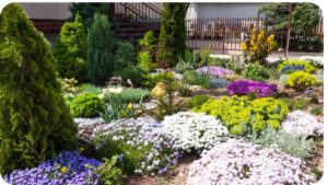What Is a Xeriscape Front Yard? Ultimate Guide for a Water-Efficient Landscape