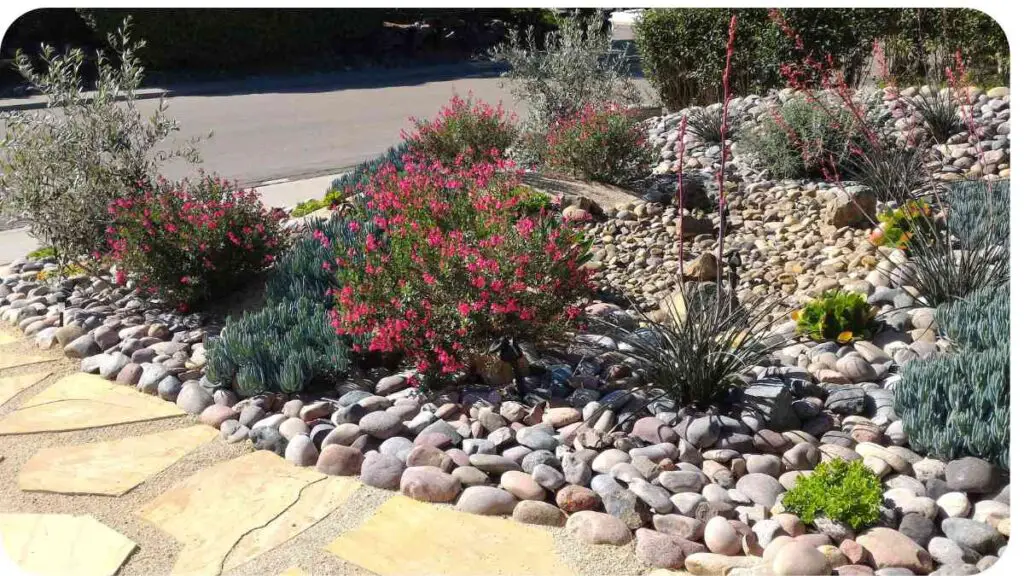a landscaping design with rocks, shrubs and flowers
